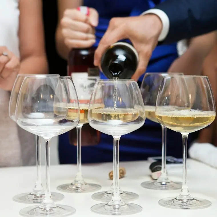 Style reference photo for Bravario Unbreakable Tritan Wine Glasses