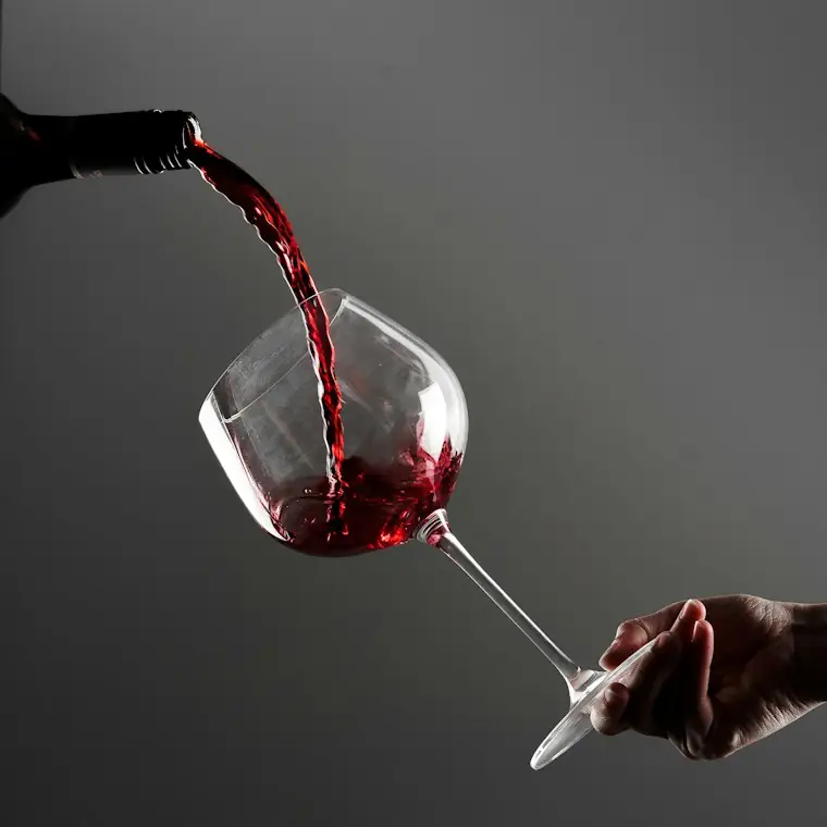 Style reference photo for Schott Zwiesel Mondial Burgundy